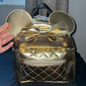 Disneyland bag